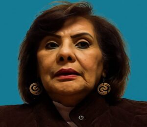 خبيرة أفريقية تحذر من تفاقم الأزمة الإنسانية والسياسية في السودان بسبب مواقف الجبهة  الإسلامية