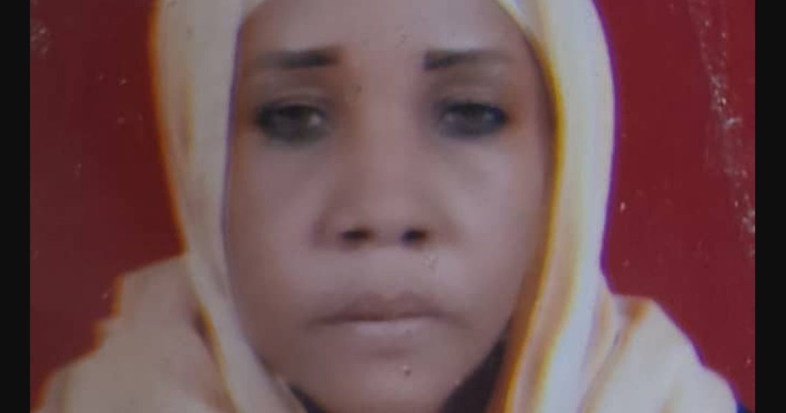 نقابة الصحفيين تندد بتوقيف صحفية في الخرطوم