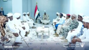 رئيس المجلس الرئاسي يلتقي وفد قبيلة النوايبة