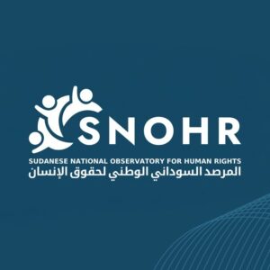مرصد حقوقى: مسيرات تابعة للجيش تستهدف شاحنات بضائع عبر طريق الفاشر-الكومة