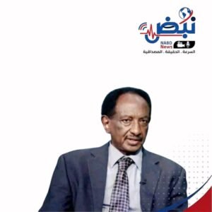 ياسر العطا يحدّد مستقبل السودان لعشرين عاماً قادمة..!